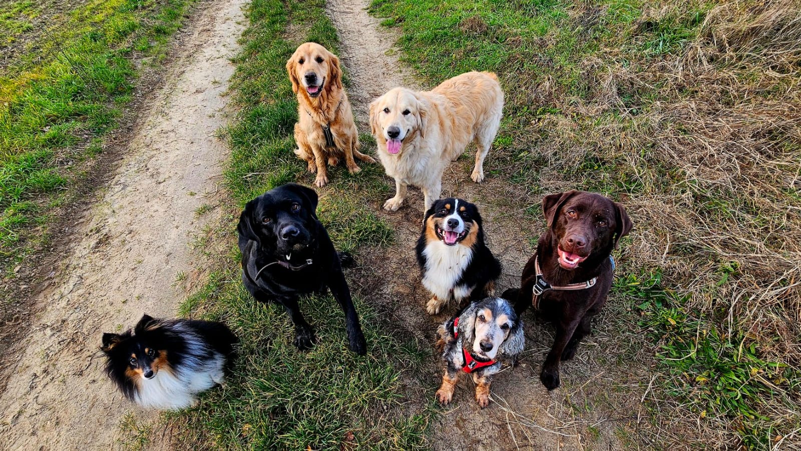 Visites à domicile pour animaux autour de Cerny